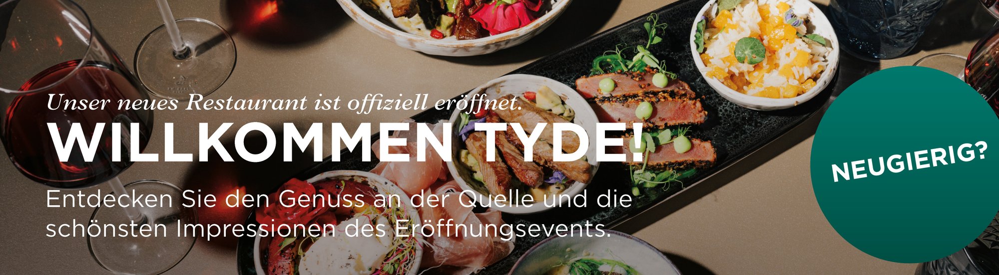 Web Banner TYDE